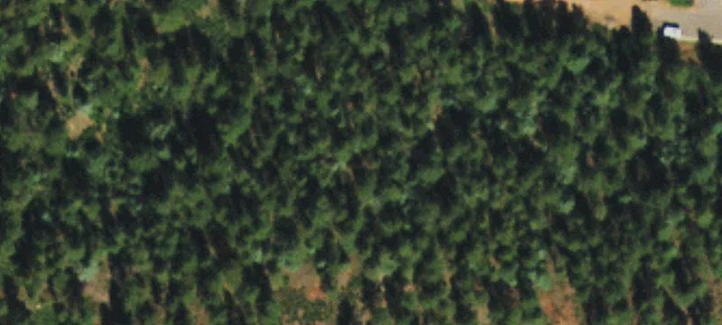 Larkspur Land Investment Opportunity