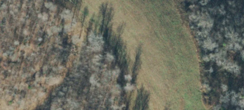 50 Acres of Cleared Land