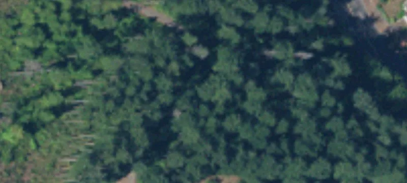 Shelton Buildable Lot Ready