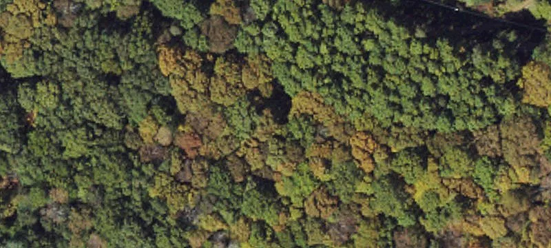 Gently Sloping Lot in Subdivision