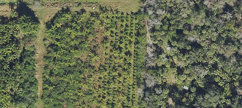 9.63 Acre Residential Land Parcel