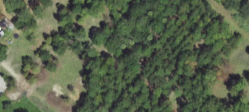 5-Acre Fenced Agricultural Property