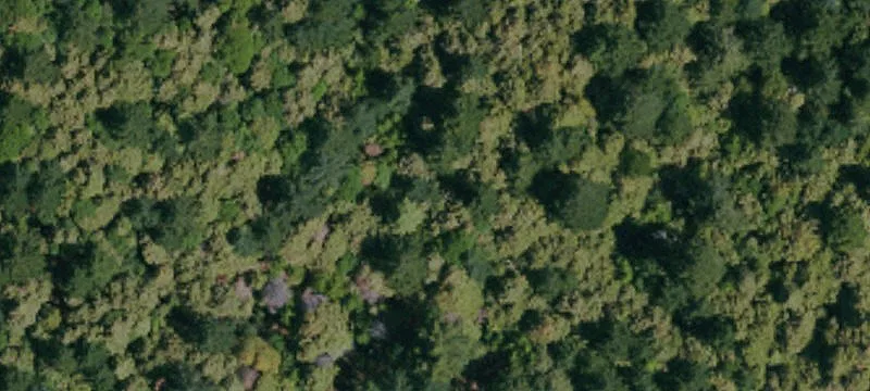 Off-Grid Home on 40 Acres
