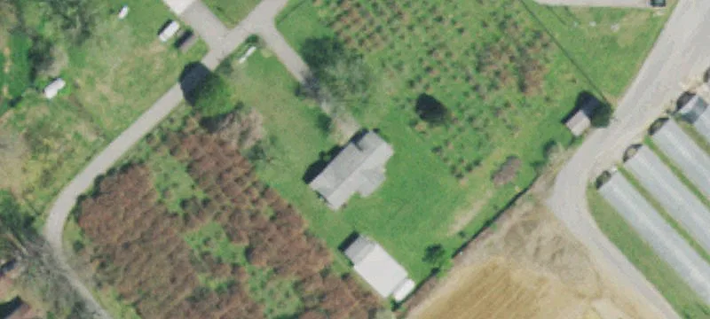 Profitable Blueberry Farm Near Maryville