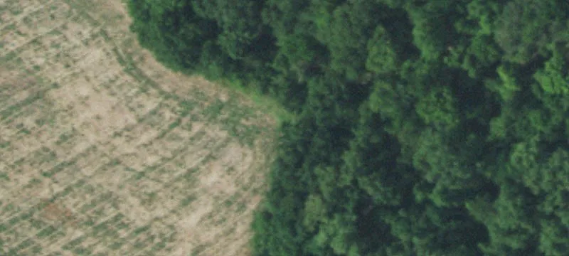 80 Acres Near Highway 64