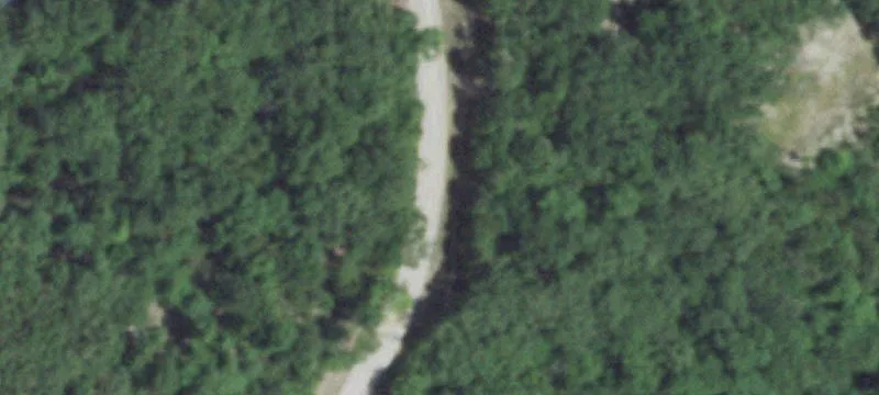 Land Backing National Forest
