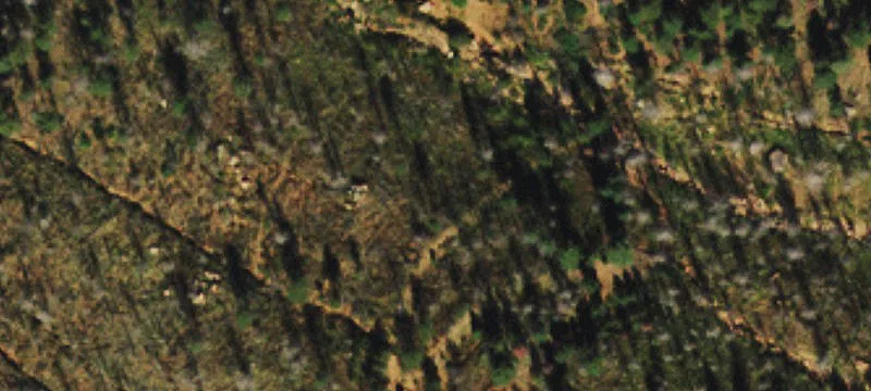 Pikes Peak Mountain Estates Land