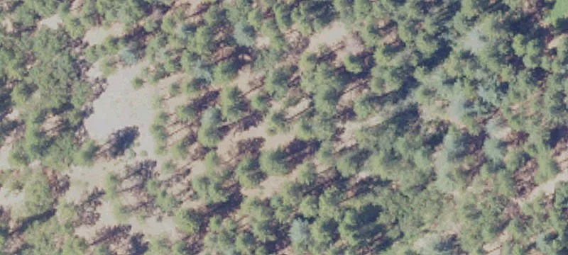 Wooded Acreage Near Historic Grass Valley