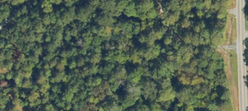 Lakefront Property on Bone Lake