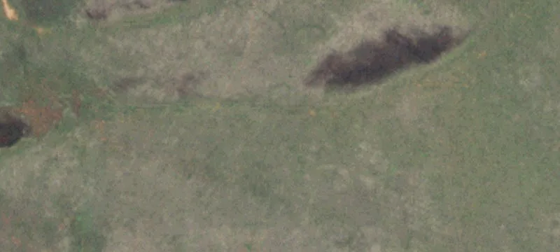 Prime Wildlife Habitat with Barndominium