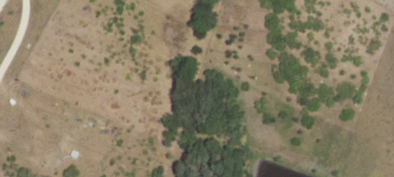 Land with Livestock Potential