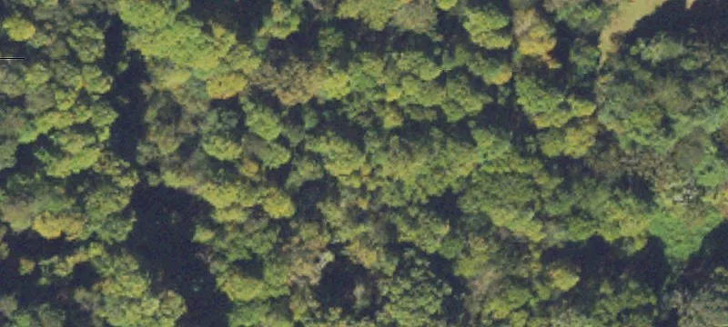 Rare McCaysville Land with Creek
