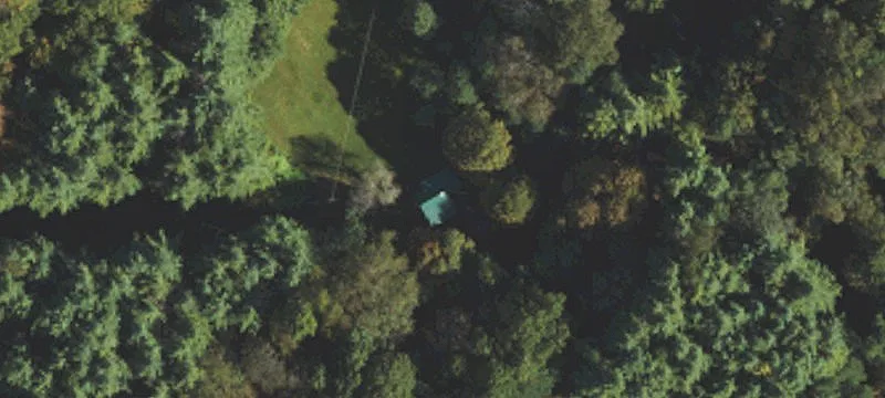 Roan Mountain Homestead with Versatility