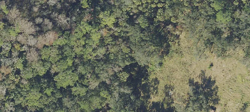 Spacious Land Near Disney