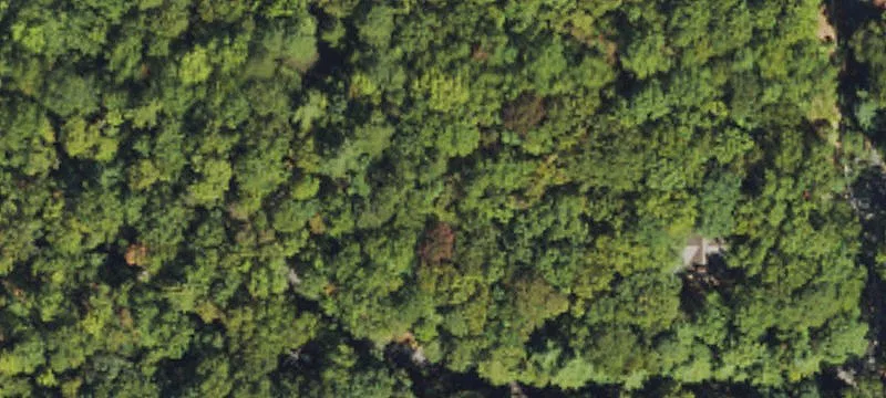 Residential Lot Near Dupont Forest