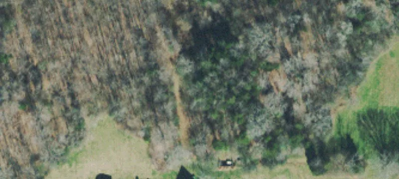 111 Acres in Williamson County