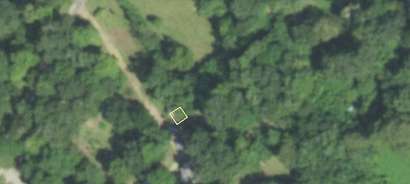 Liberty County Land with Timber