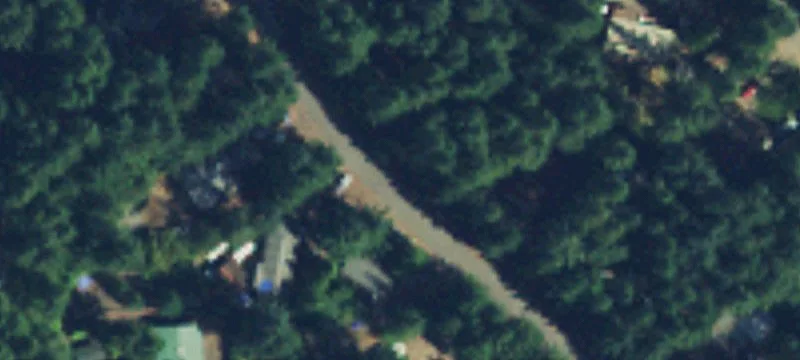 Treed Lot Near Lake Cushman