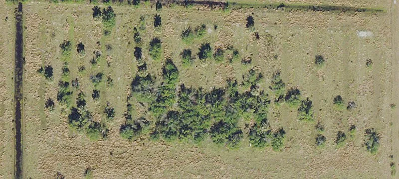 Commercial Land Near Charlotte Airport