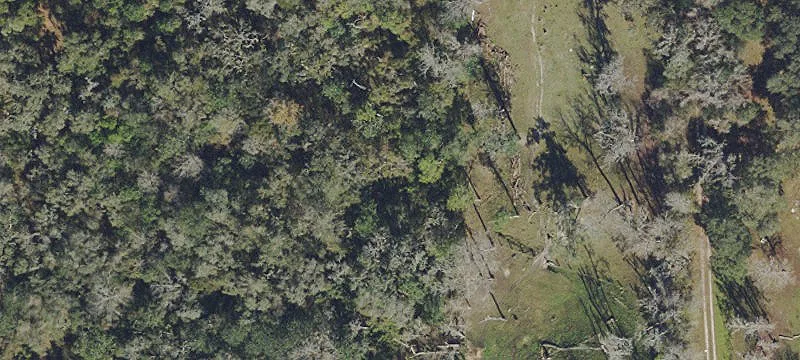 Income-Producing Land in Dade City
