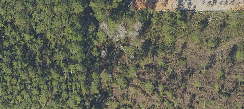 Land Adjacent to Publix Center