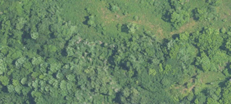 Commercial Land Near I-59 Exit