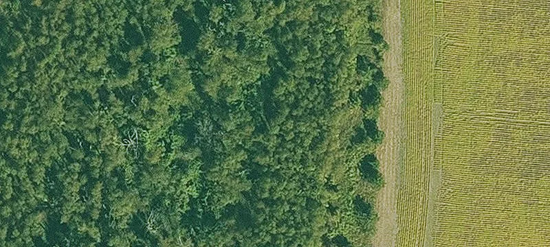 Hensley Land Investment Opportunity
