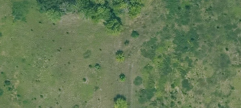 37 Acres in Pleasant Hill