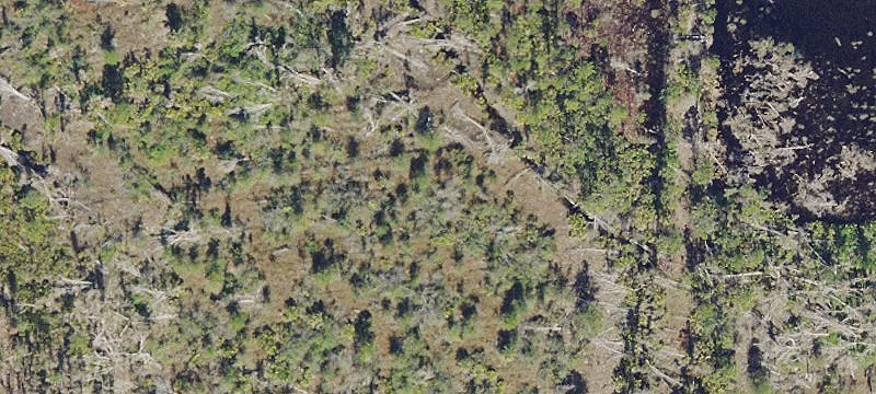 Punta Gorda Interchange Development Site