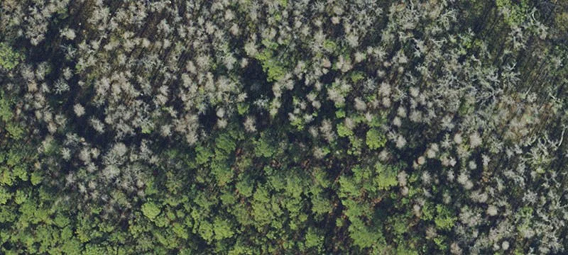 Davenport Land Parcels For Sale