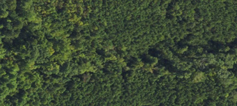 90+ Acre Durham Land Assemblage