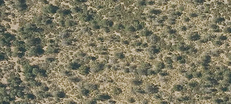 Payson Land For Sale