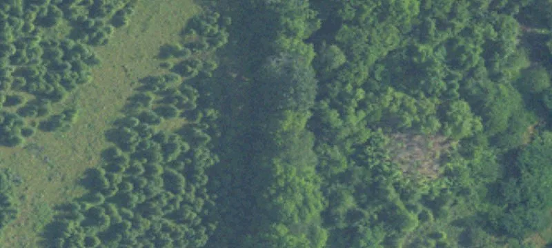 213 Acres Near Soccer Park