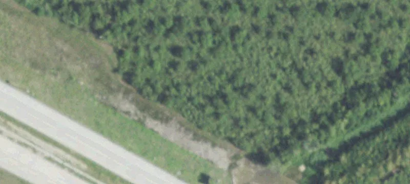 238 Acres in Mont Belvieu