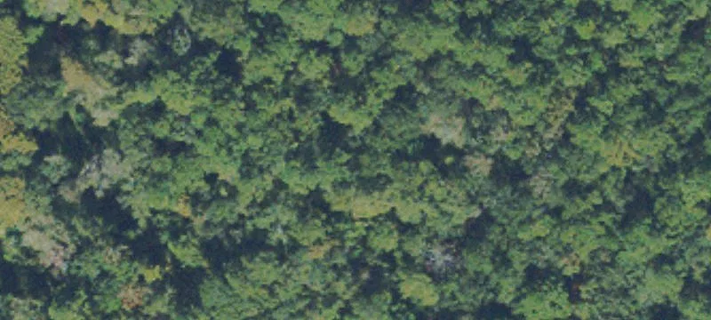 Commercial Parcels on GA Highway