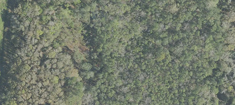 165.81 Acre Development Opportunity