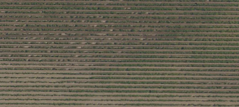 Expansive Land on Highway 99