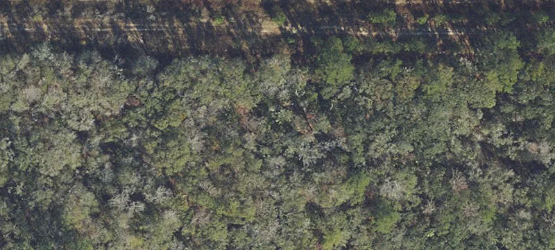 Prime Hunting Land in Blakely