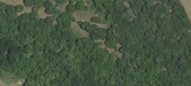 Land Along FM 969