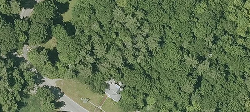 Historic Estate with Income Potential