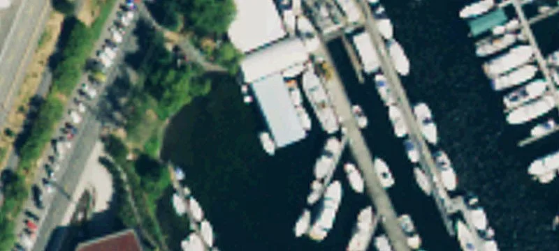 Lake Union Marina Opportunity