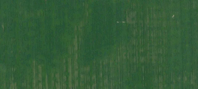 Land Near Santa Rosa Mountains