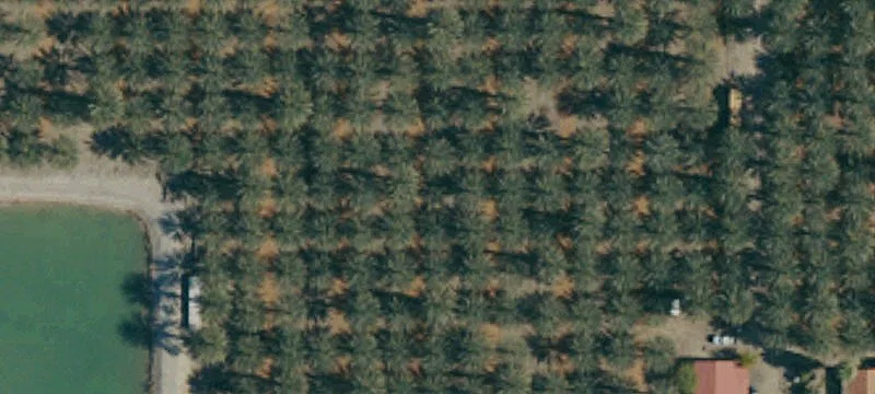 Coachella Valley Date Ranch