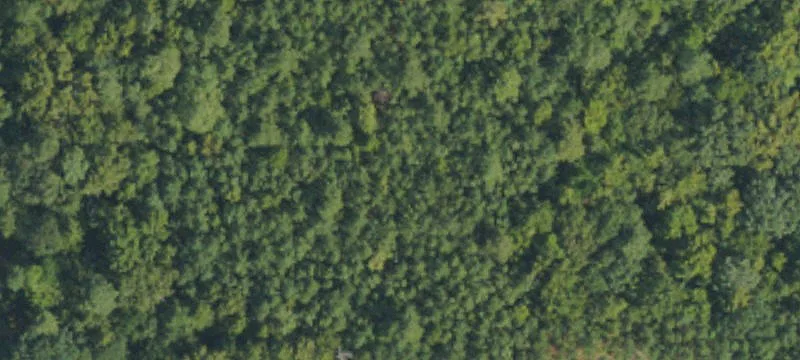 Approximately 122 Acres on Riddle