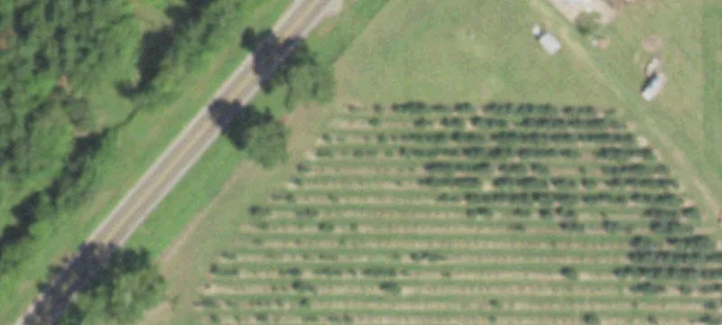74-Acre Ranch with Agricultural Facilities