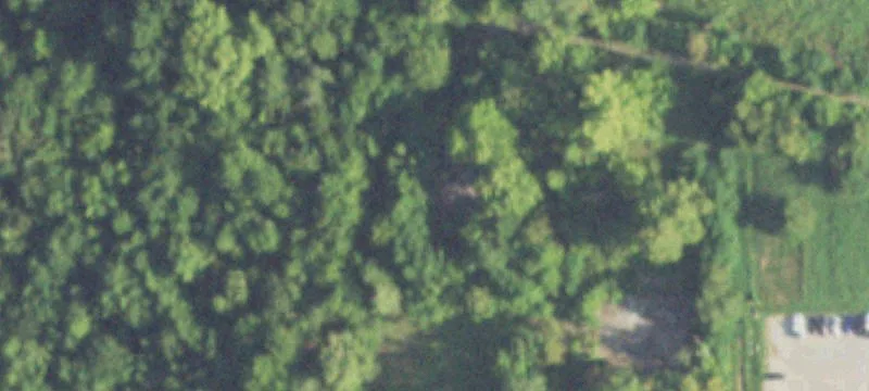 Wooded Land Near IAH Airport