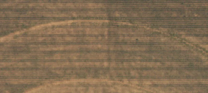 158 Acres in Roosevelt ISD
