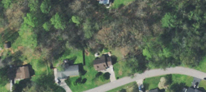 Undeveloped Lots in Westshore Estates