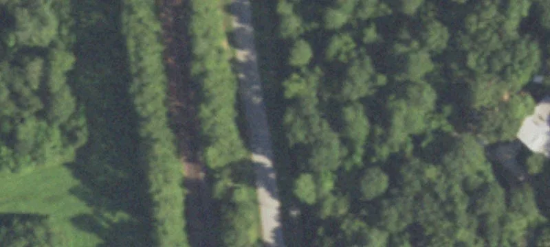 Unrestricted Land Near Conroe