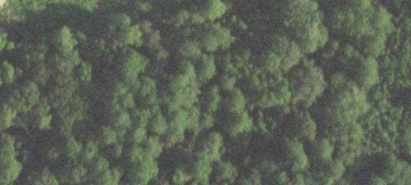 Unrestricted Land Tract in Splendora